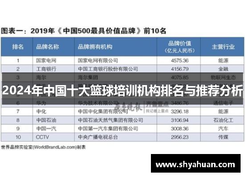 2024年中国十大篮球培训机构排名与推荐分析