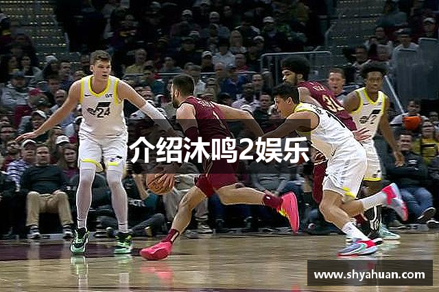 介绍沐鸣2娱乐